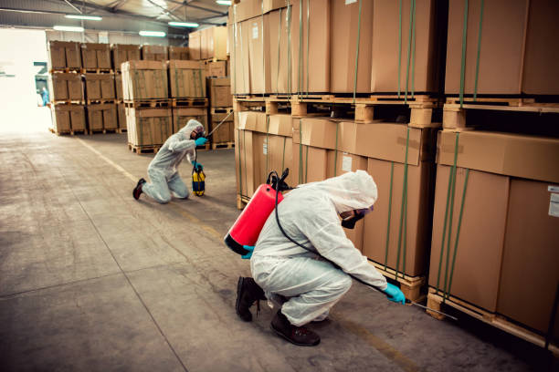 Best Cockroach Control Services  in Chambersburg, PA