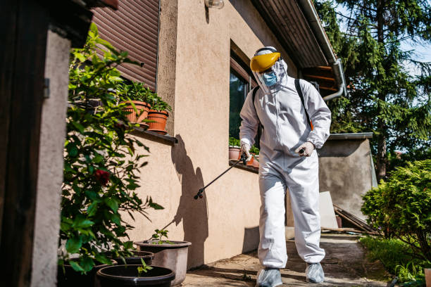 Best Affordable Pest Control Services  in Chambersburg, PA