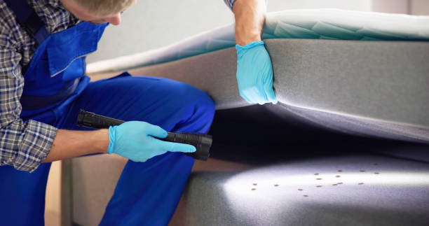 Best Exterminator Services  in Chambersburg, PA