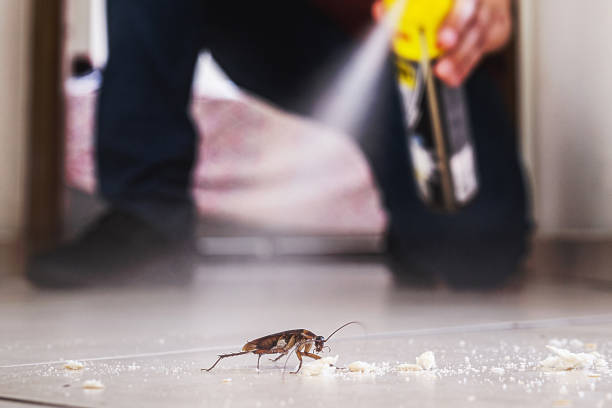 Best Pest Prevention Services  in Chambersburg, PA