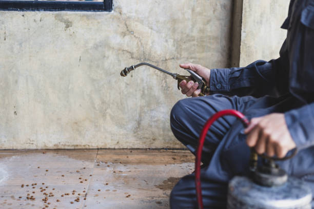 Best Emergency Pest Control  in Chambersburg, PA